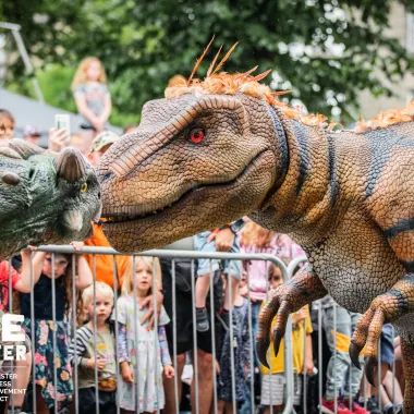 Dinosaur Variety Package