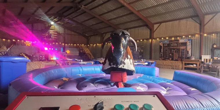 Creative Themes And Ideas For A Mechanical Bull Event