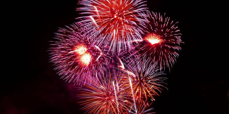 Bonfire Night Fireworks Training For Dogs
