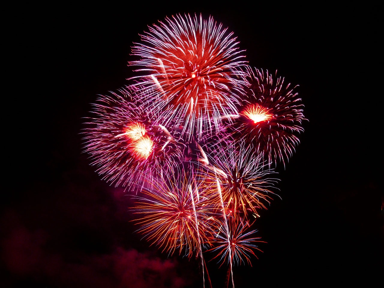 Bonfire Night Fireworks Training For Dogs
