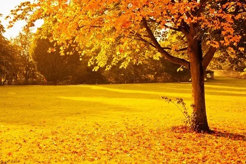Autumn And Winter Toilet Hire