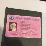 Santa Flying License