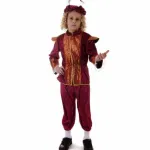 Rich Renaissance Tudor Boy School Costume