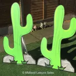 Cactus Lasso Game Stands (pair)