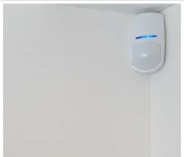 Pir Movement Sensor