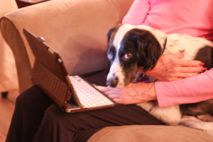 pros and cons of online dating