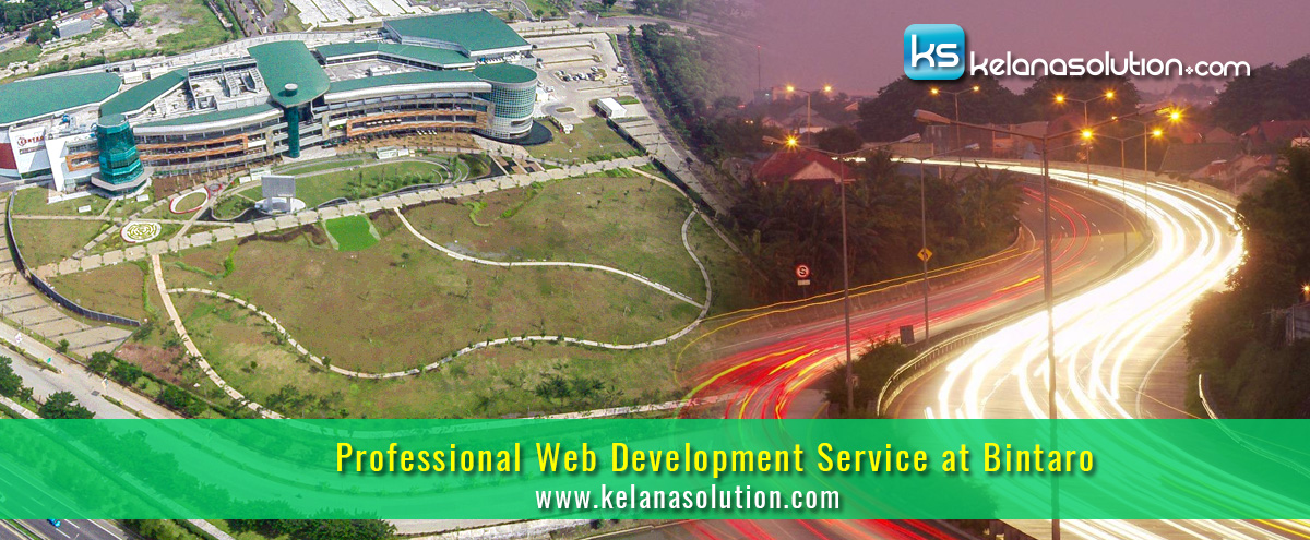 Jasa Pembuatan Website Bintaro