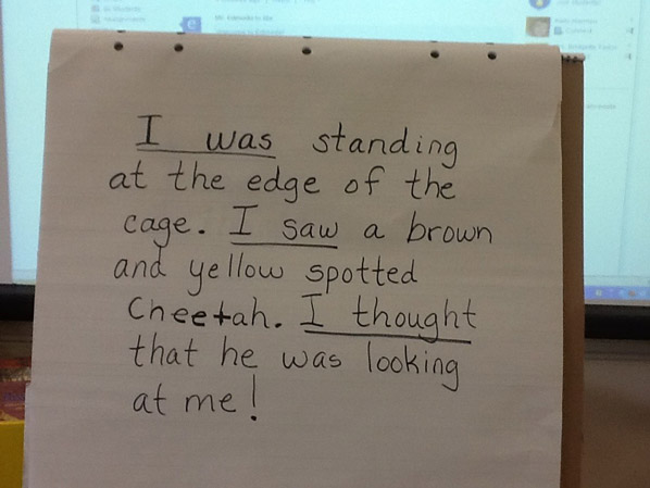 first grade example showing students how to create a snapshot of the narrative 