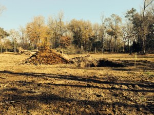 house lot influences home design options