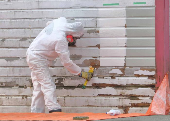 Paint Removal Process