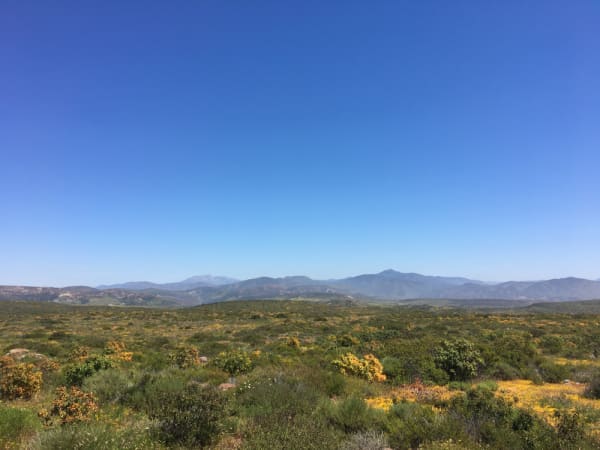 Mesa Central Mexicana