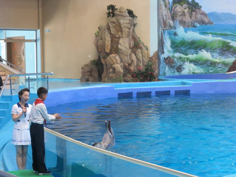 Pyongyang Public Parks And Play Grounds