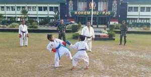 karate2