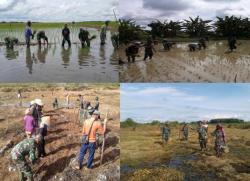 KODIM 1015/SPT ADAKAN KEGIATAN PERCEPATAN LUAS TAMBAH TANAM (LTT) PADI BERSAMA