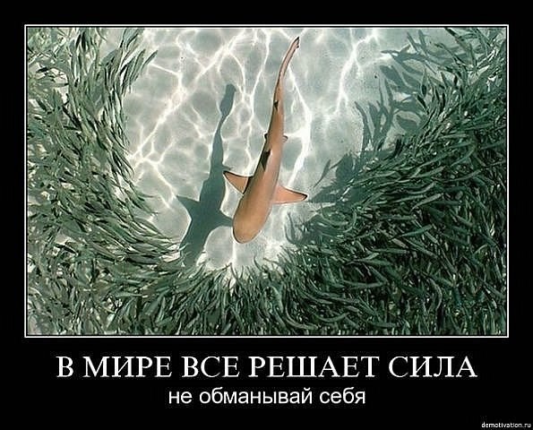 ► Чат-боты на заказ Дробление цены убойный прием копирайтинга