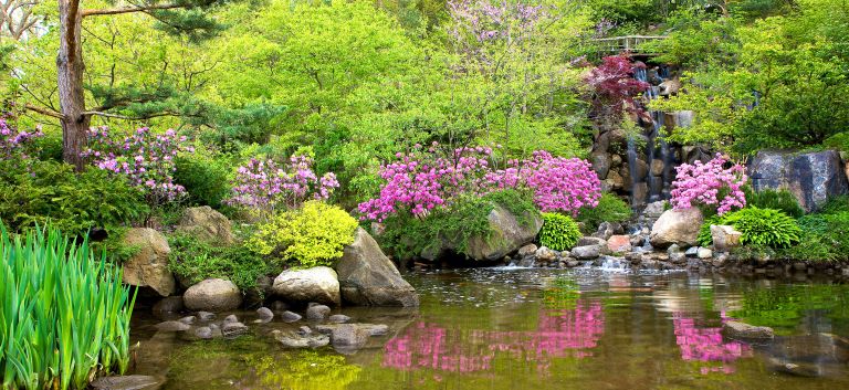 pond at Anderson Gardens