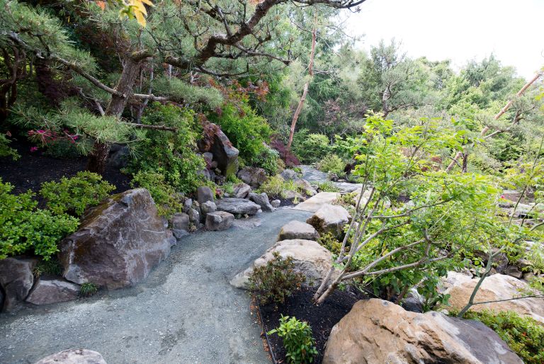 rock lined path through trees