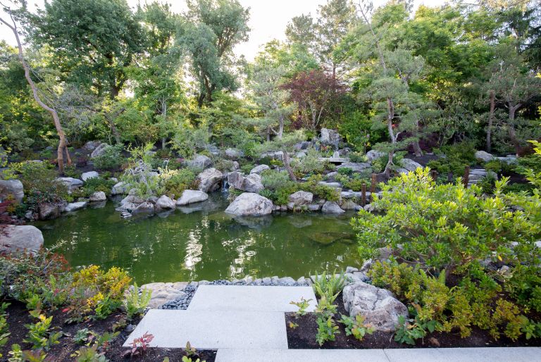 pond and trees at Los Altos residence