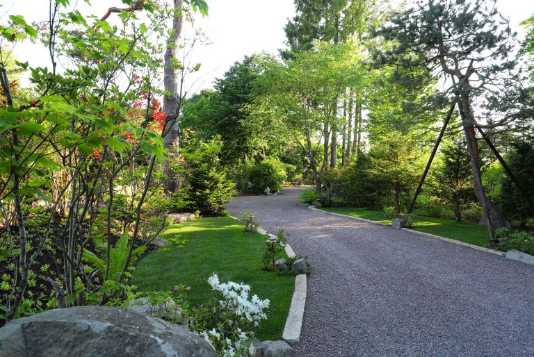 gravel driveway through trees and lawn