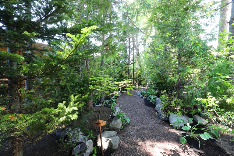 gravel rock lined path through trees