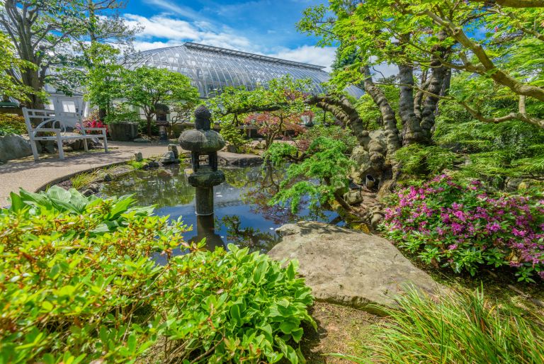 pond, trees, and bench at Japanese Courtyard Garden at Phipps Conservatory