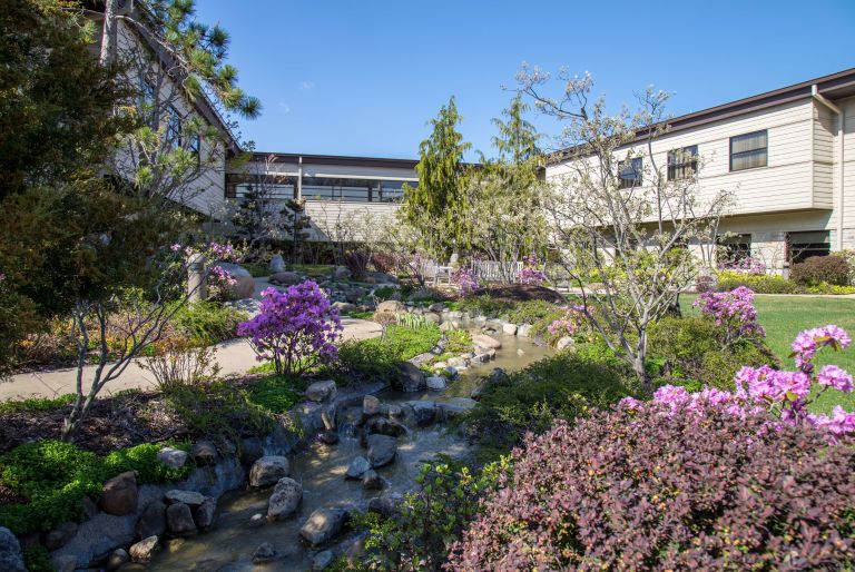 view of stream, garden, and buildings at Rosecrance Griffin Williamson Campus