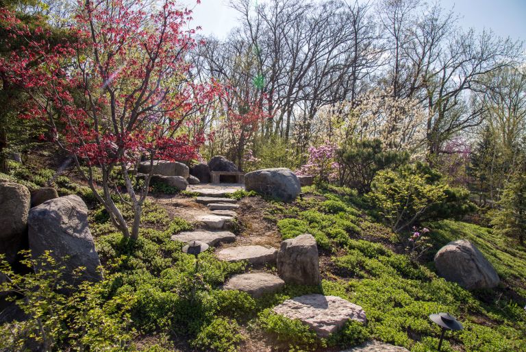 stone steps through trees at Rosecrance Griffin Williamson Campus