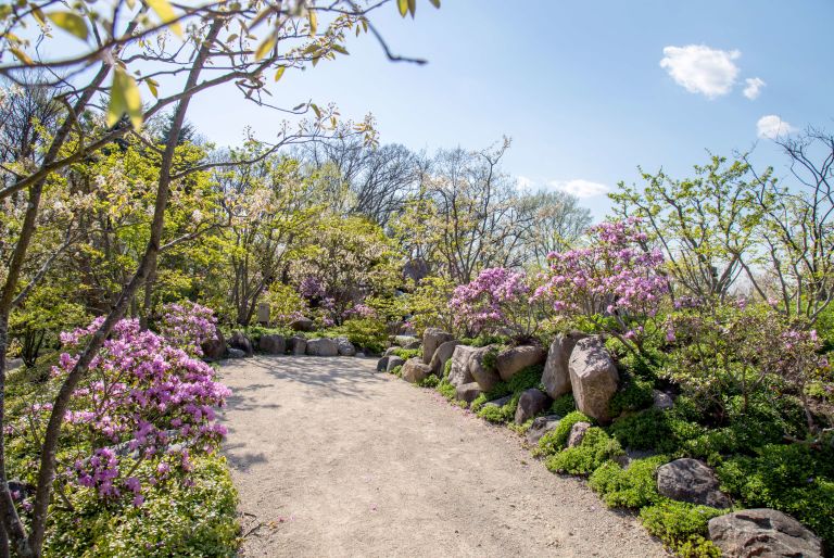 path at Rosecrance Griffin Williamson Campus