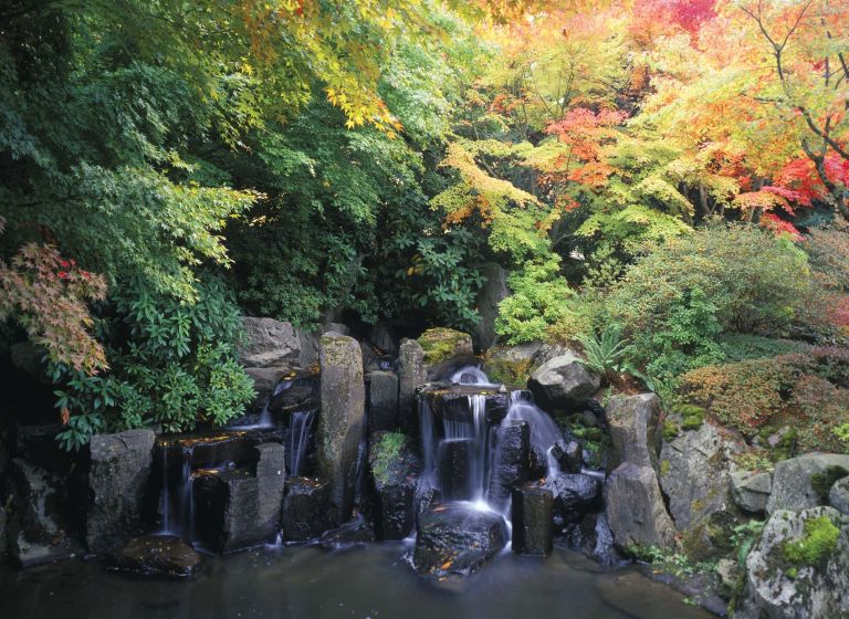 waterfall with autumn trees