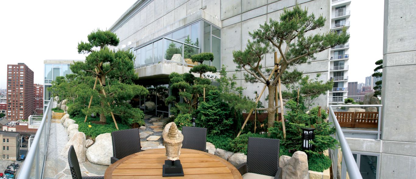 rooftop city garden with trees Chicago penthouse