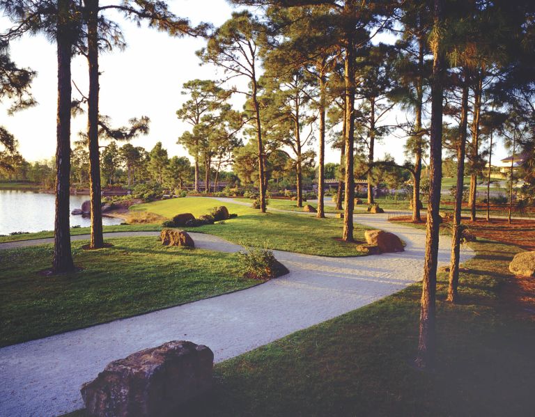 path through the pine forest at Morikami Museum