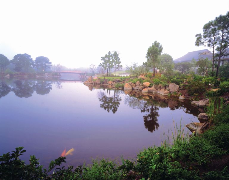 misty pond at Morikami Museum