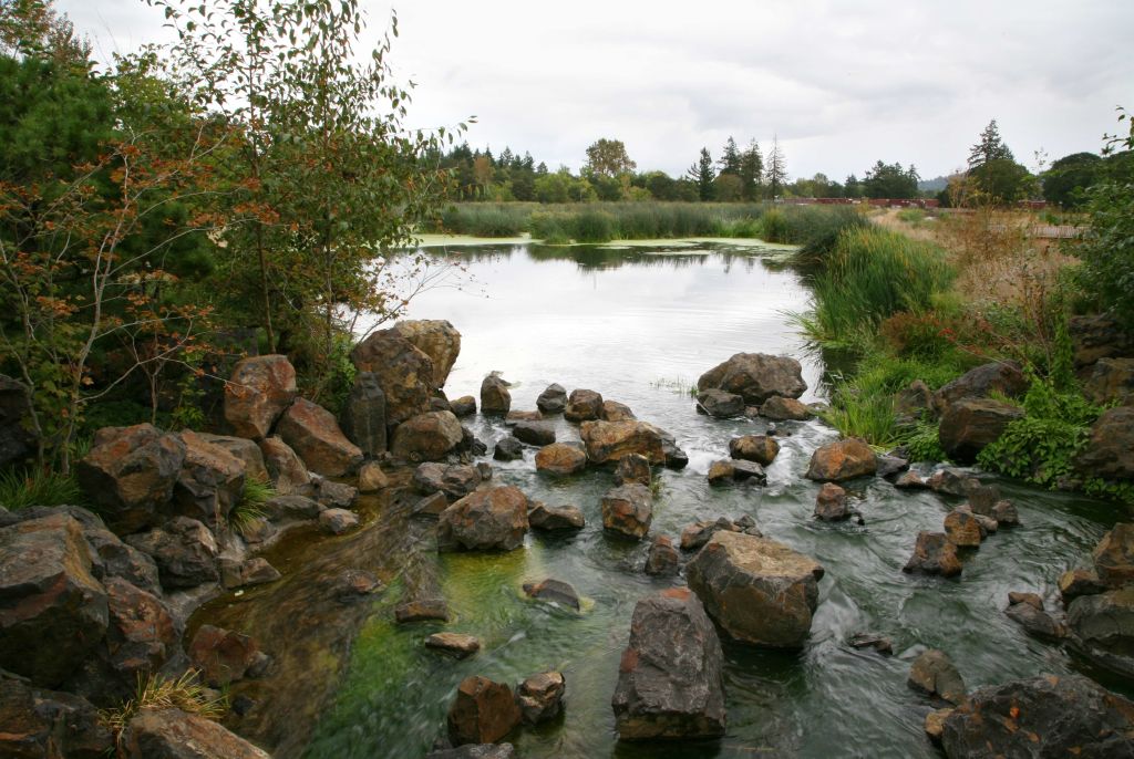 pond and rocks at Talking Water Gardens