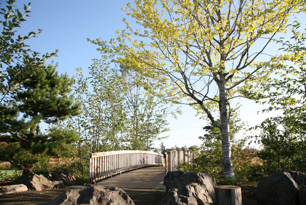 bridge and tree at Talking Water Gardens
