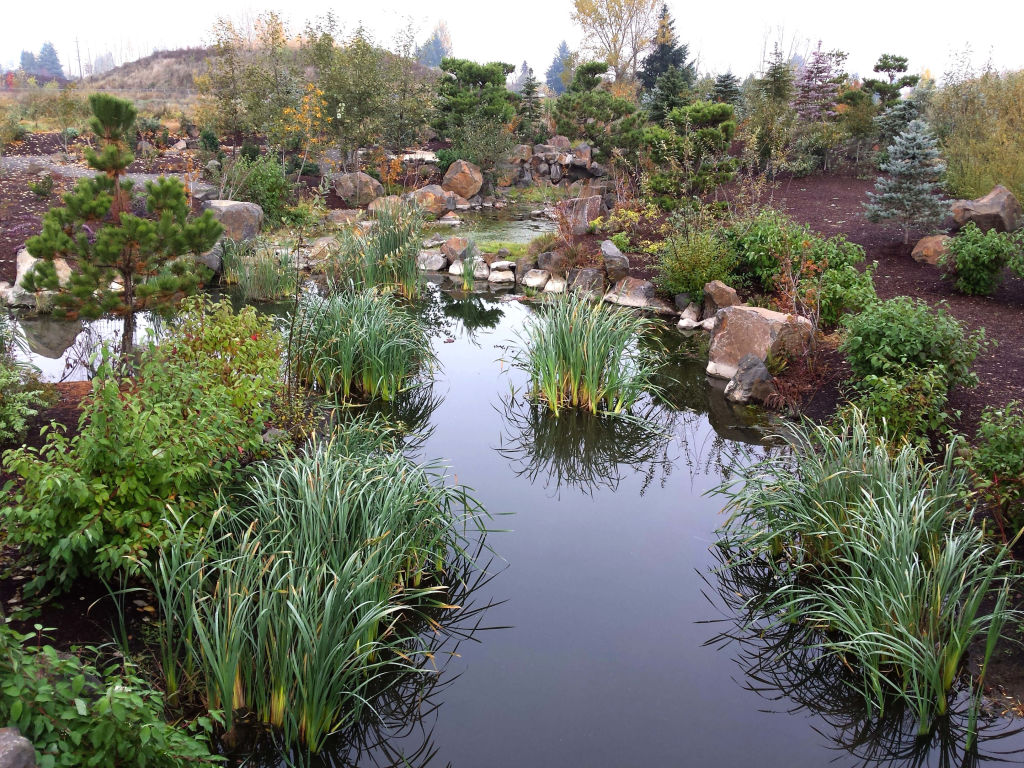 stream with plants at Fernhill Wetlands