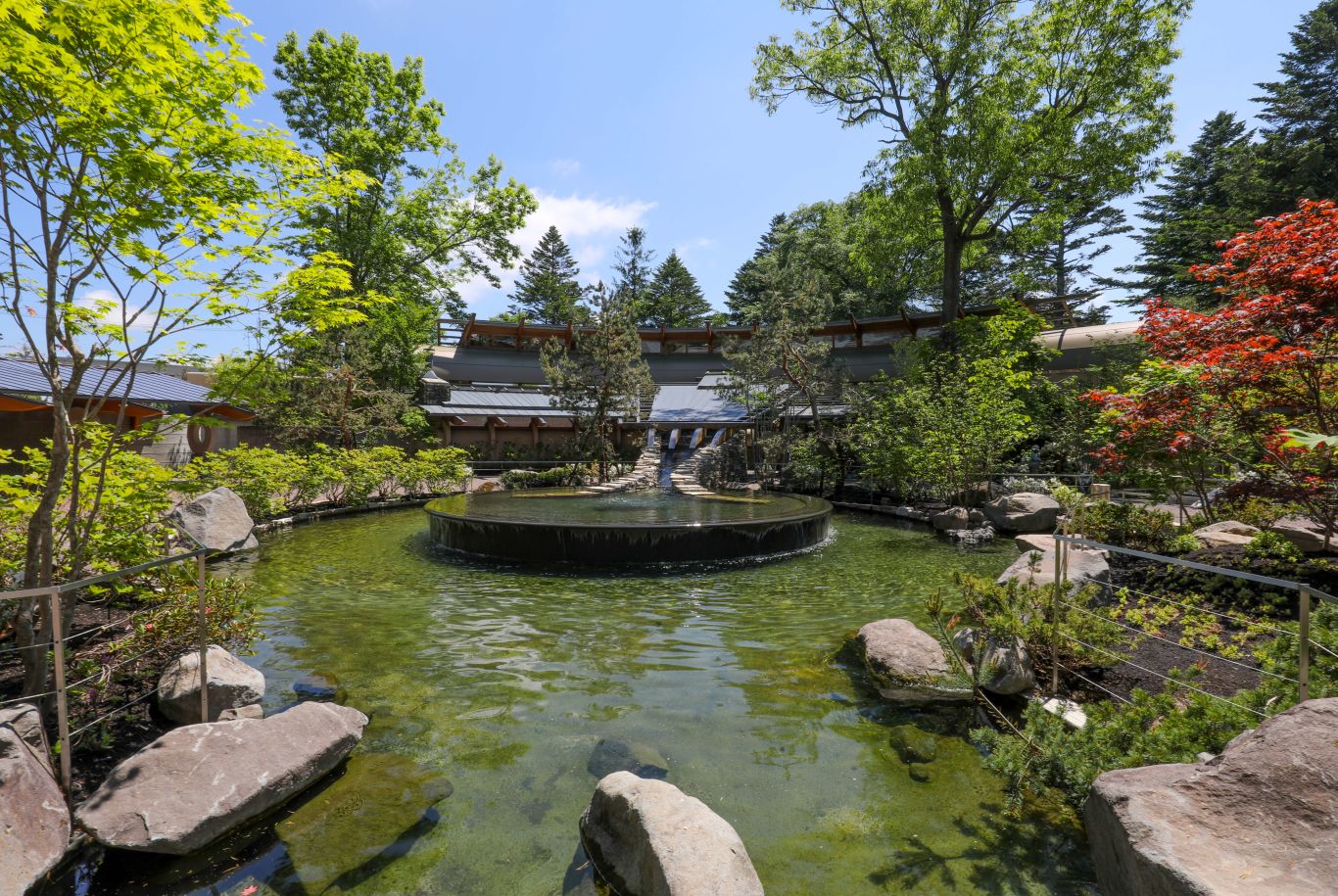 pond surrounded by trees with residence in background