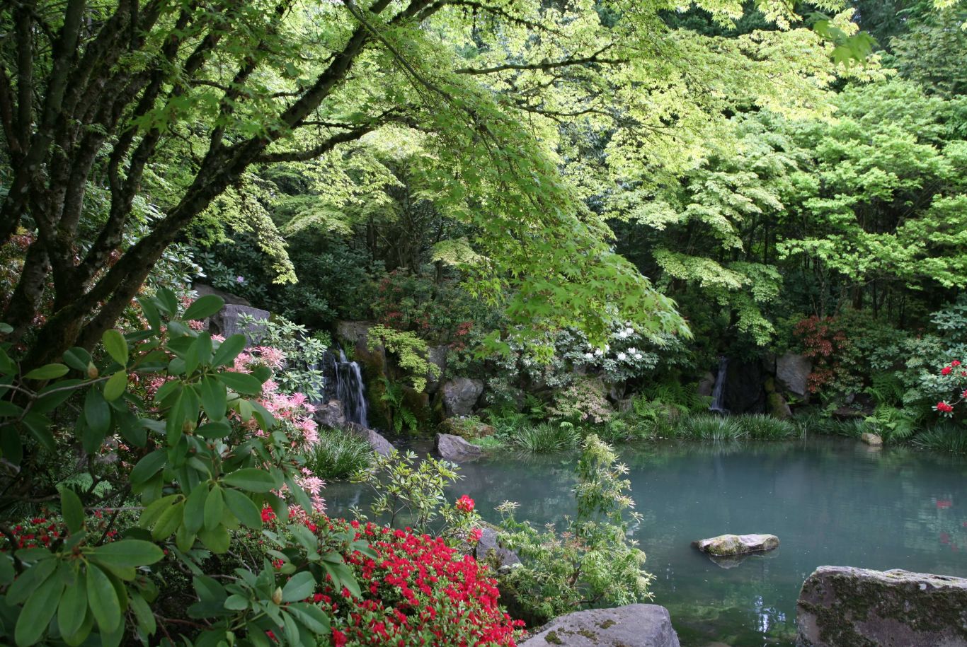 pond with trees at The Quintet