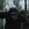 Dawn Of The Planet Of The Apes har finlandspremiär. Caesar leder aparmén i Dawn of the Planet of the Apes.