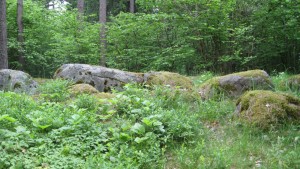 Gravröse från järnåldern. Gravröse från järnåldern i Brobacka