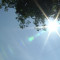 Sommar och sol