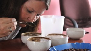 Kaffeföretagaren Teija Kuusela provsmakar sina ocertifierade kaffesorter Teija Kuusela provsmakar ocertifierat kaffe i Zambia