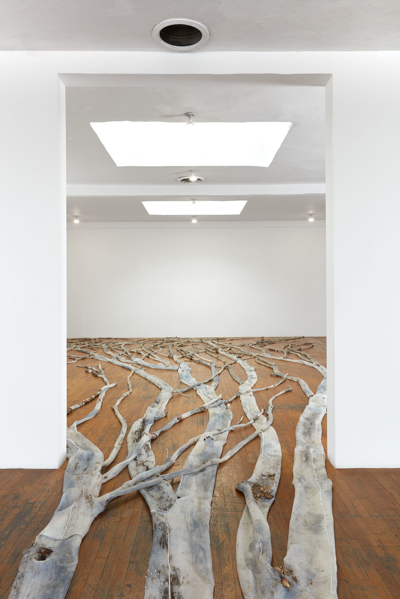 Installation view