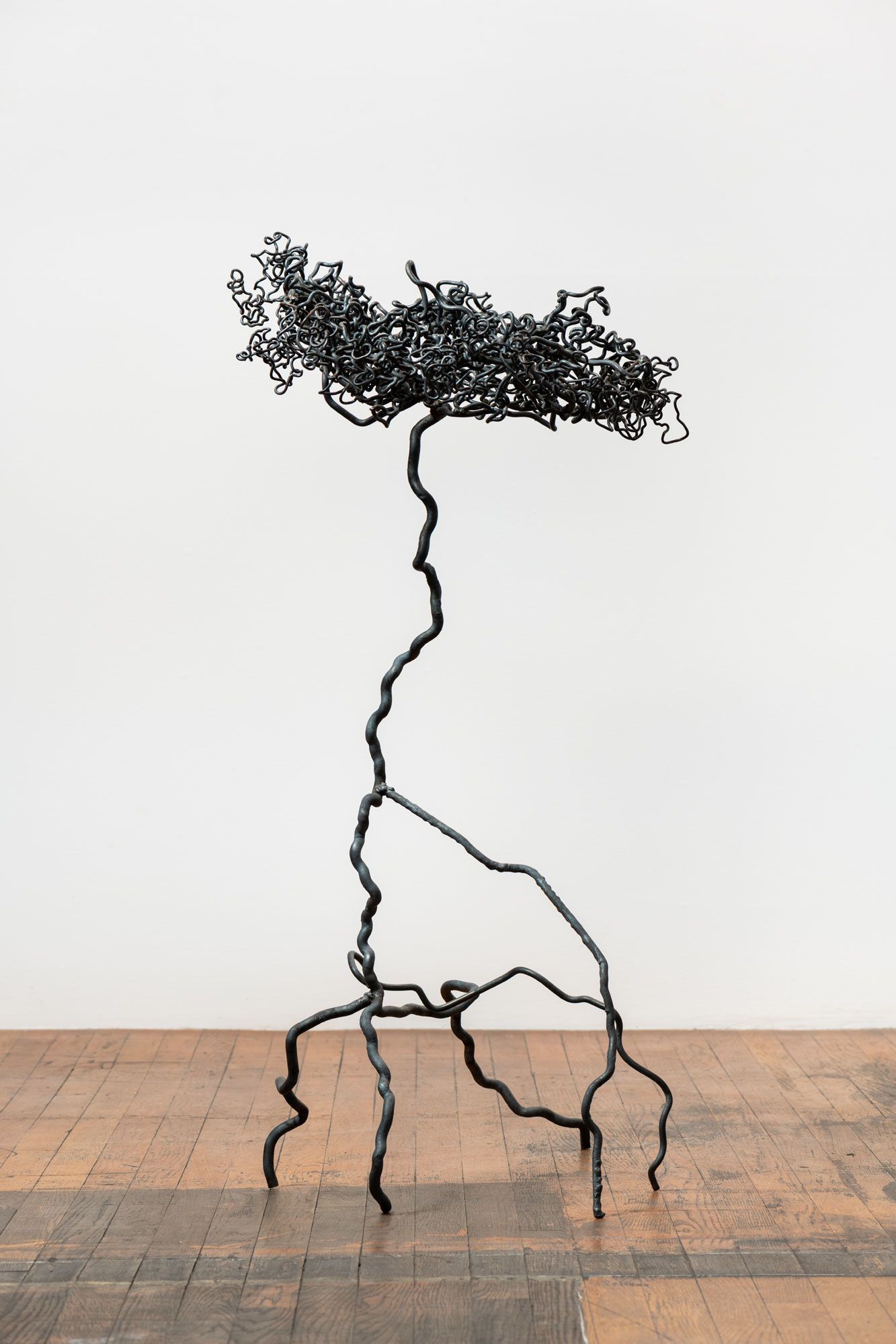 Roots 4