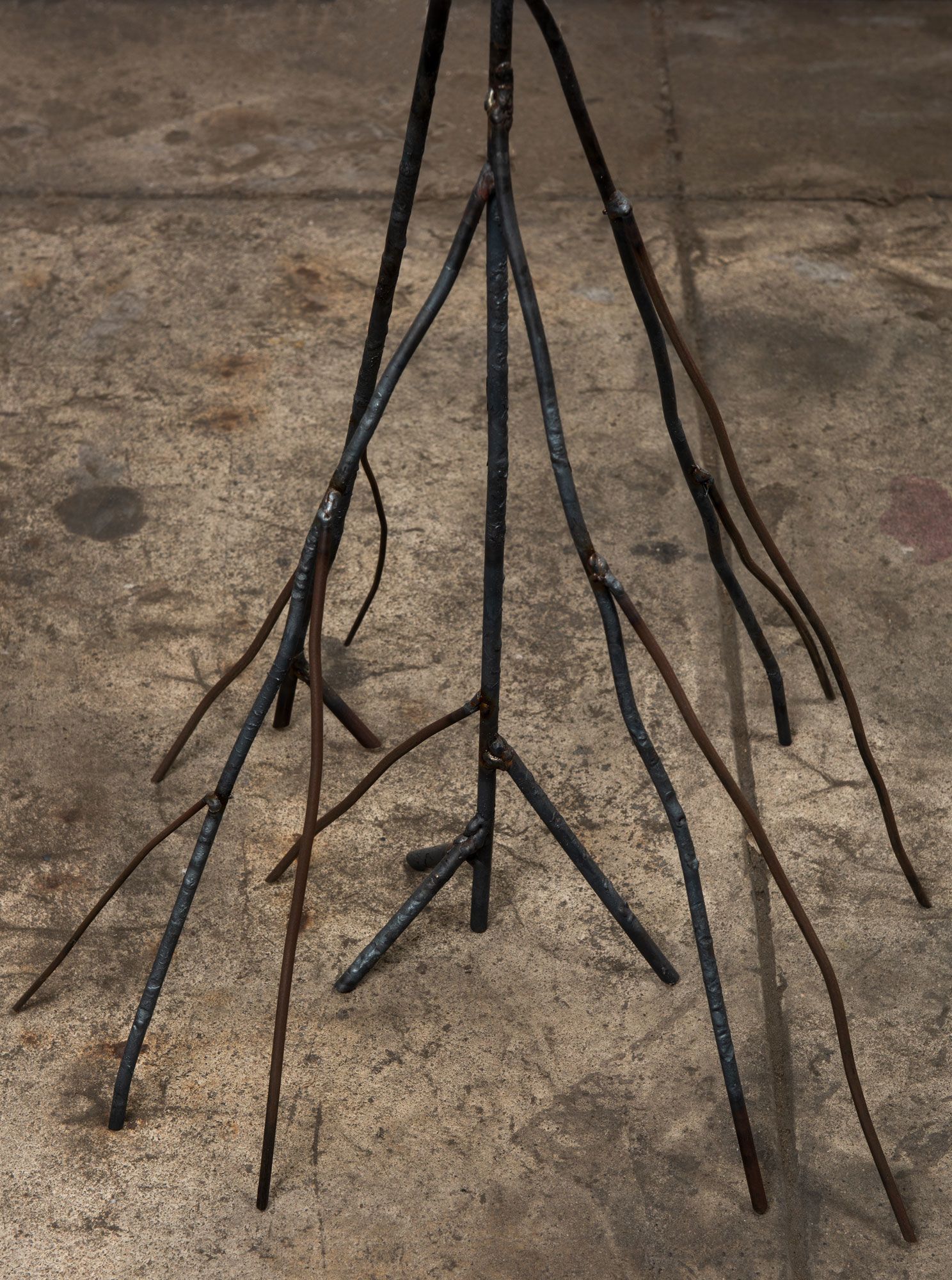 Beatriz Cortez, Roots 2, detail