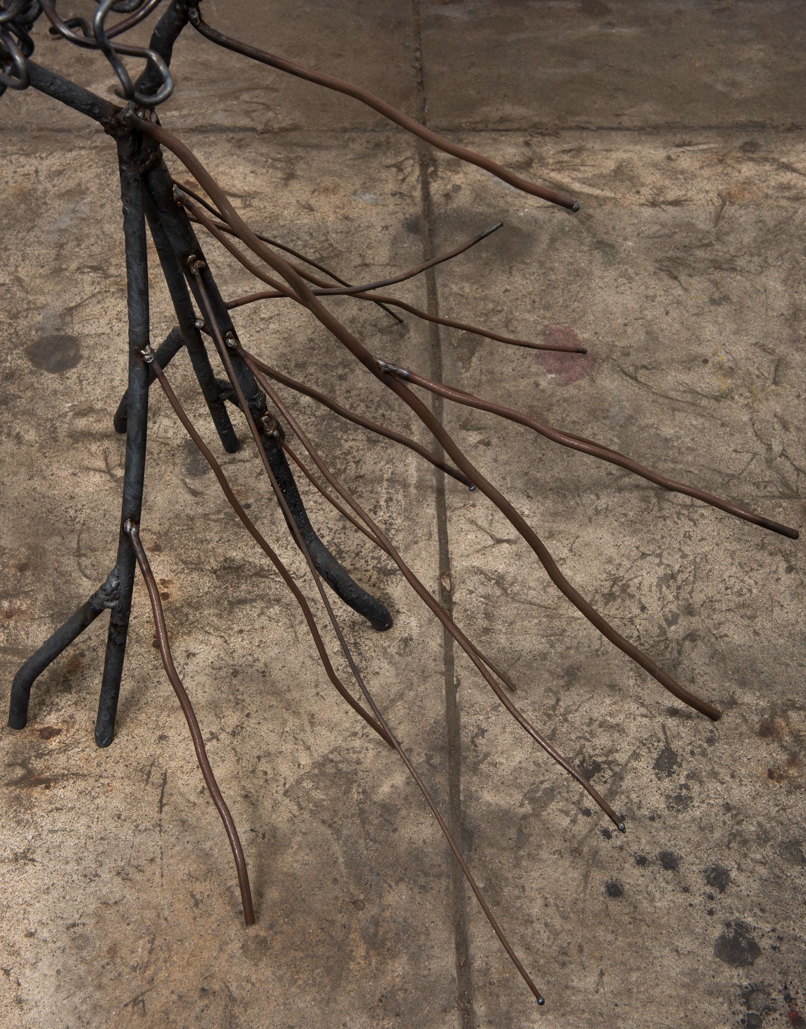 Beatriz Cortez, Roots 1, detail