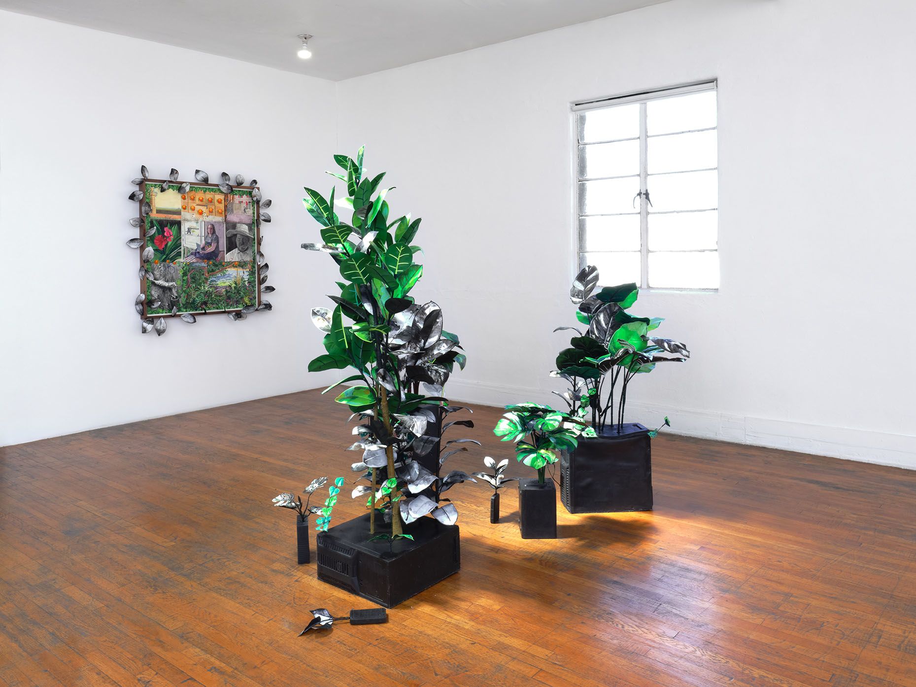 Installation view