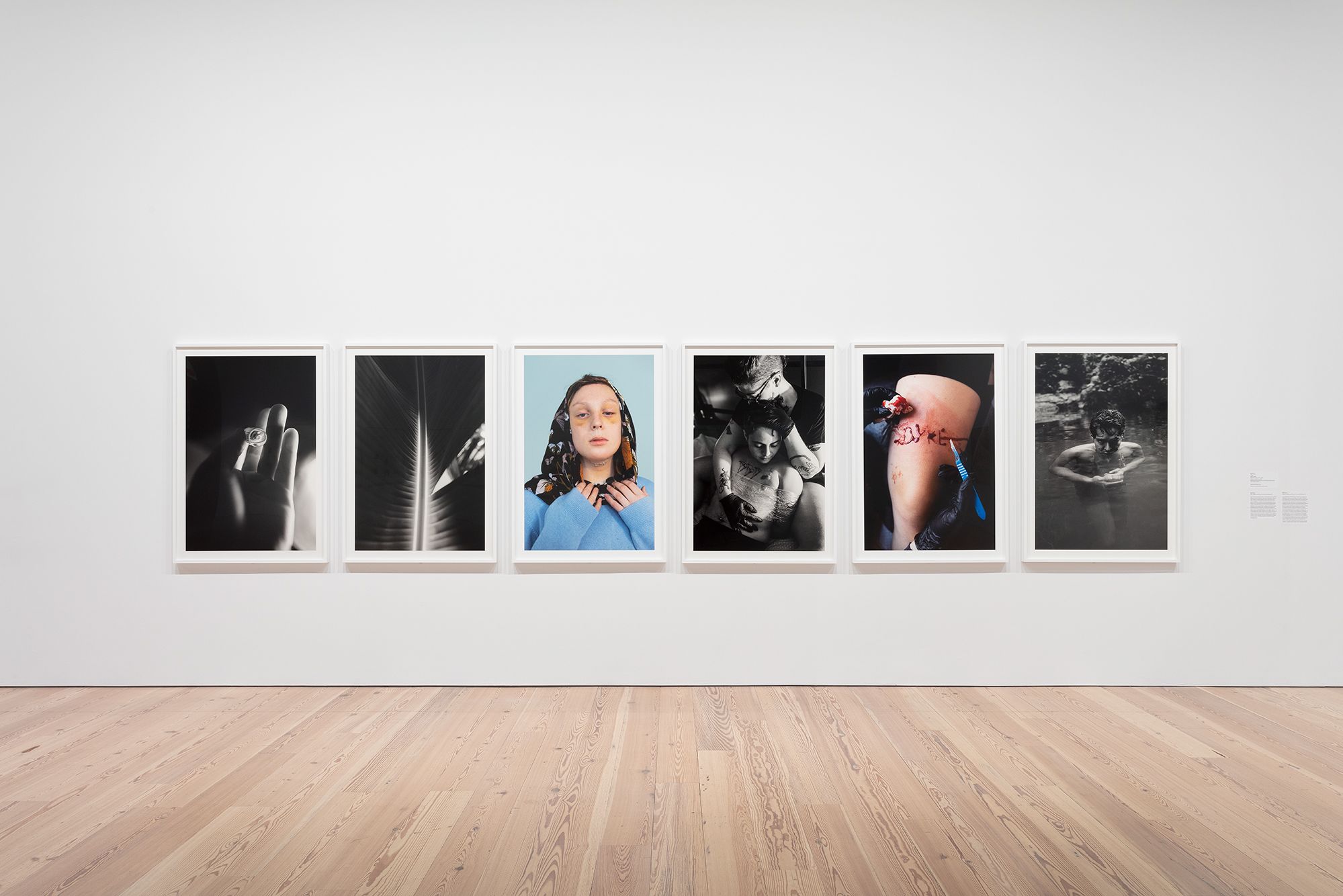 Whitney Biennial