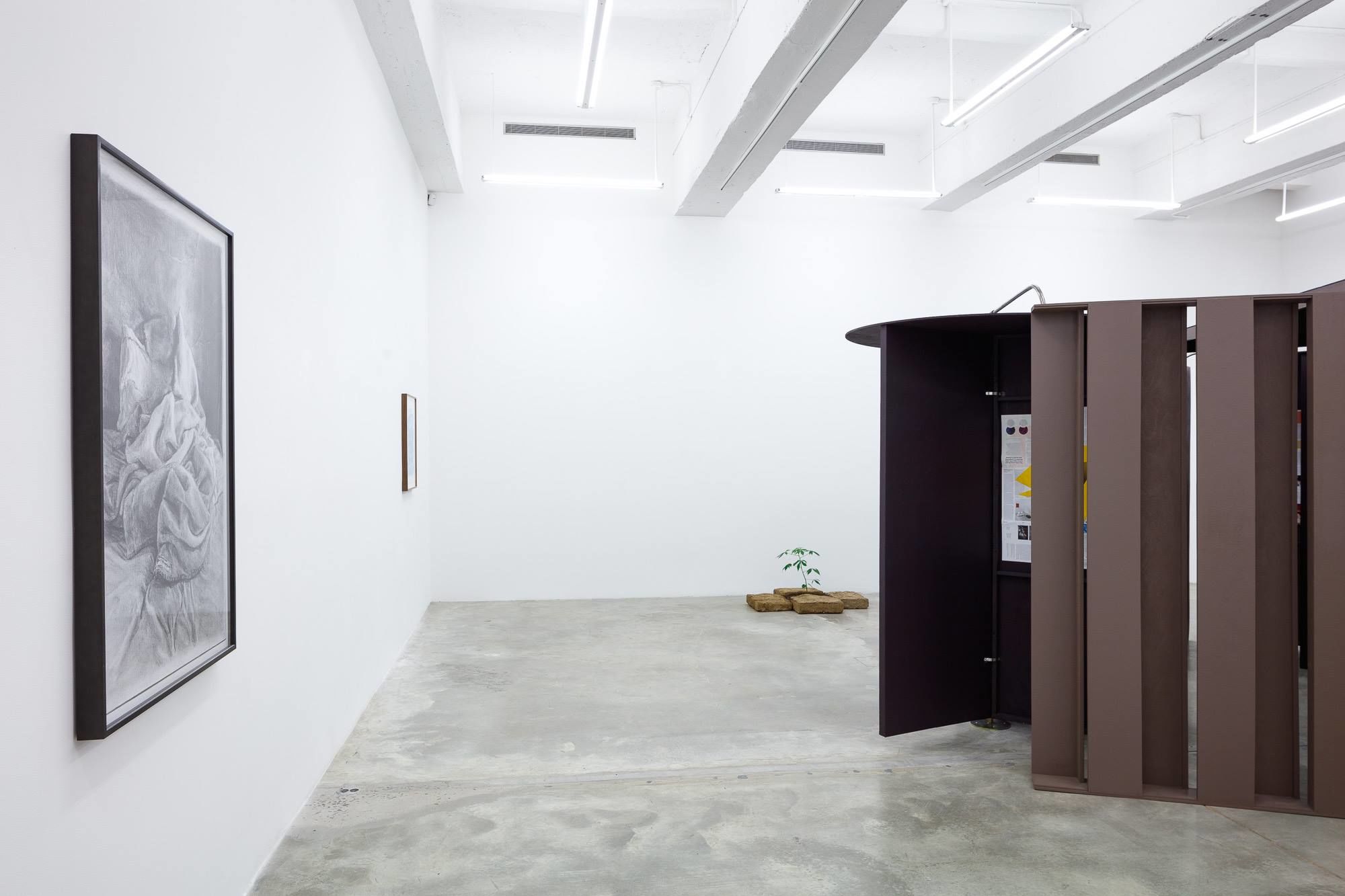 Installation view