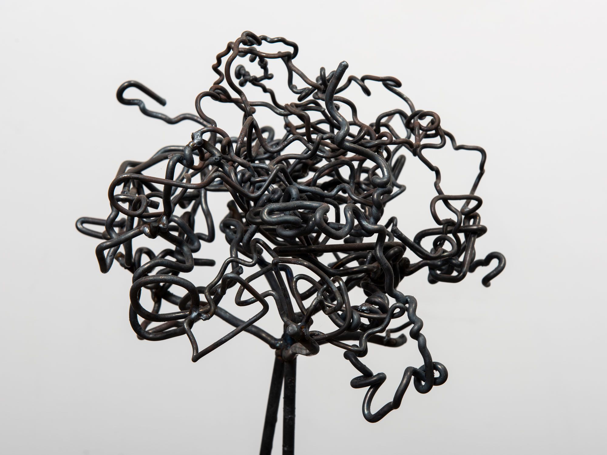 Beatriz Cortez, Roots 2, detail