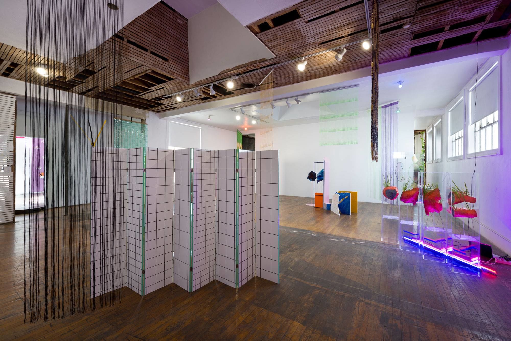 Installation view